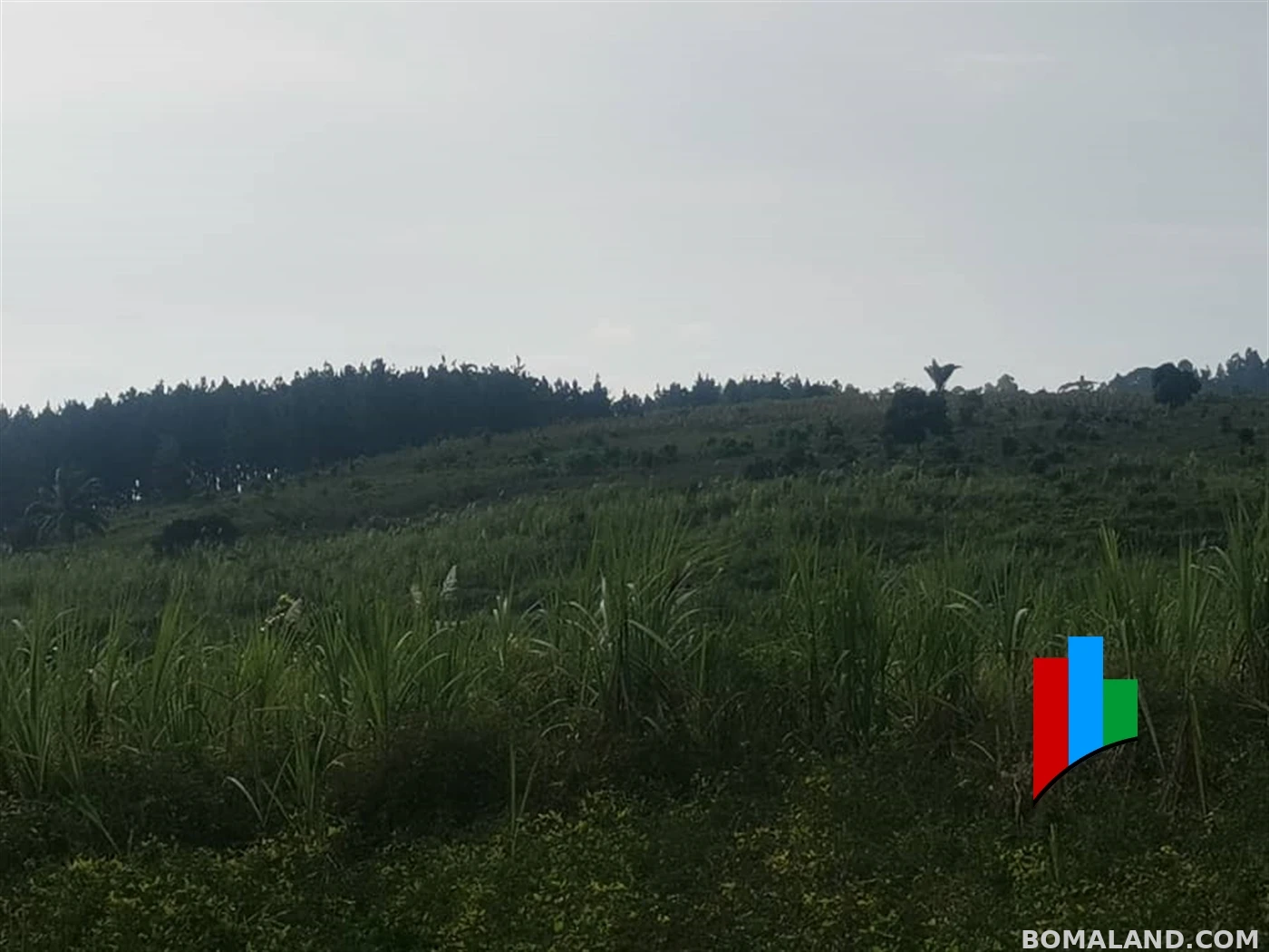 Industrial Land for sale in Namanve Mukono Uganda