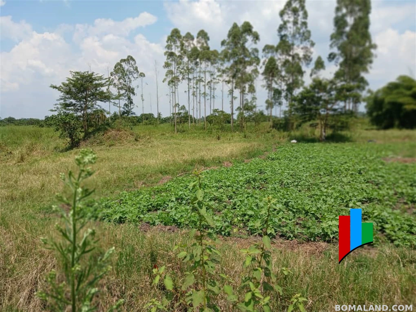 Agricultural Land for sale in Kiwoko Nakaseke Uganda