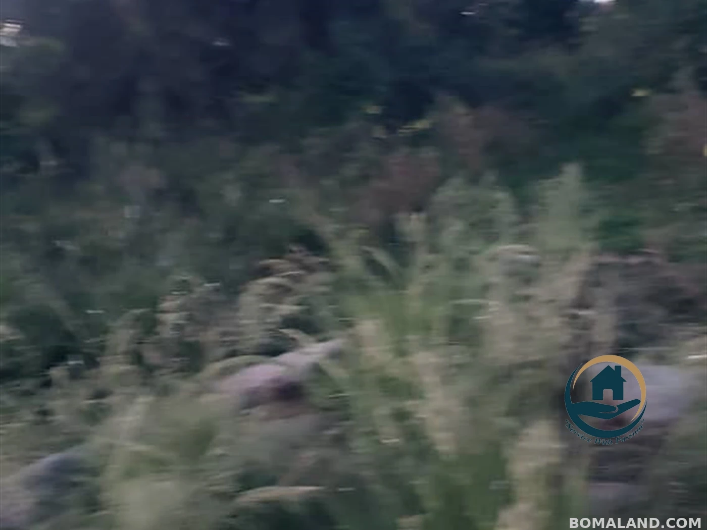 Residential Land for sale in Garuga Wakiso Uganda