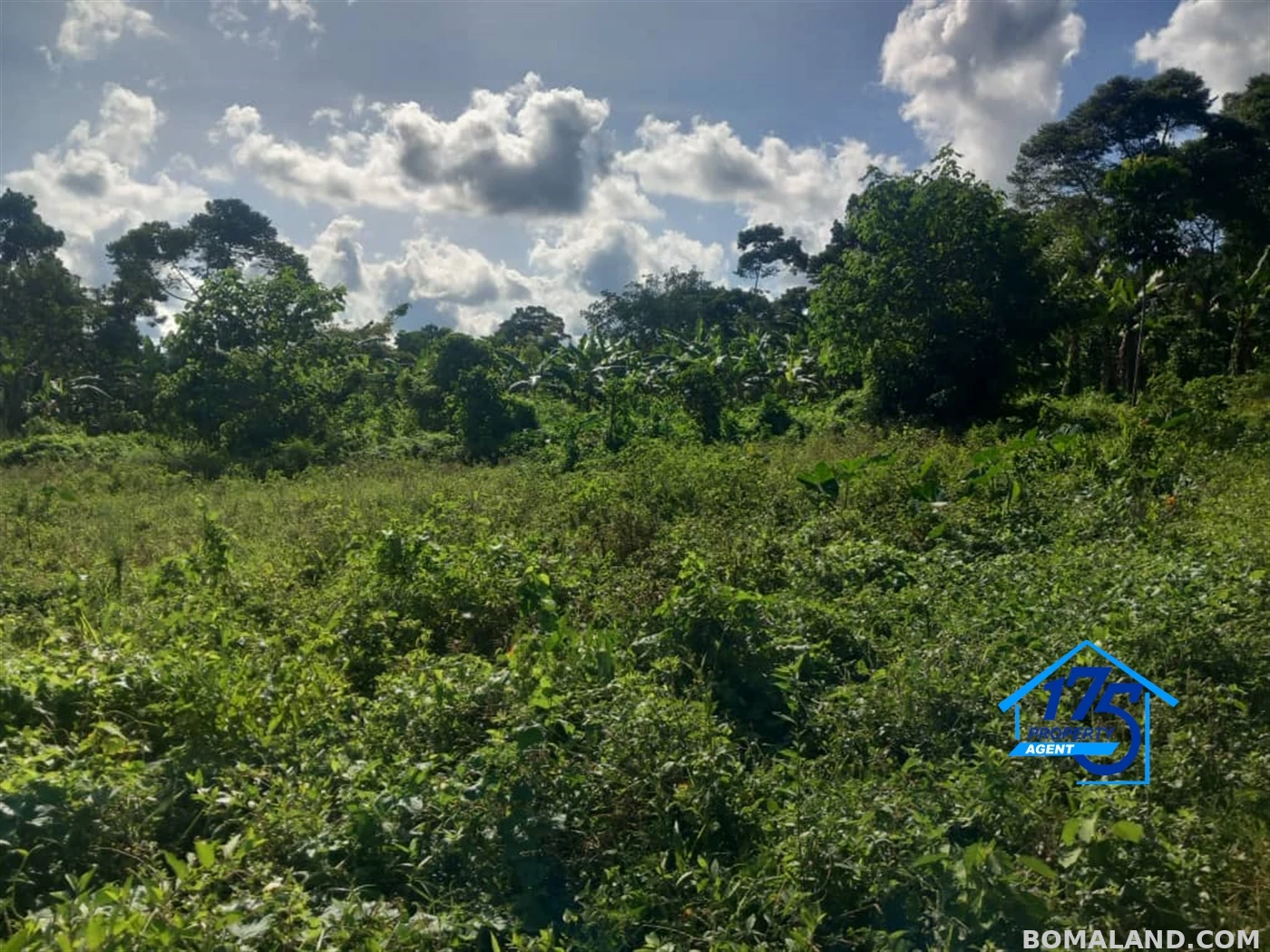 Agricultural Land for sale in Kisoga Mukono Uganda