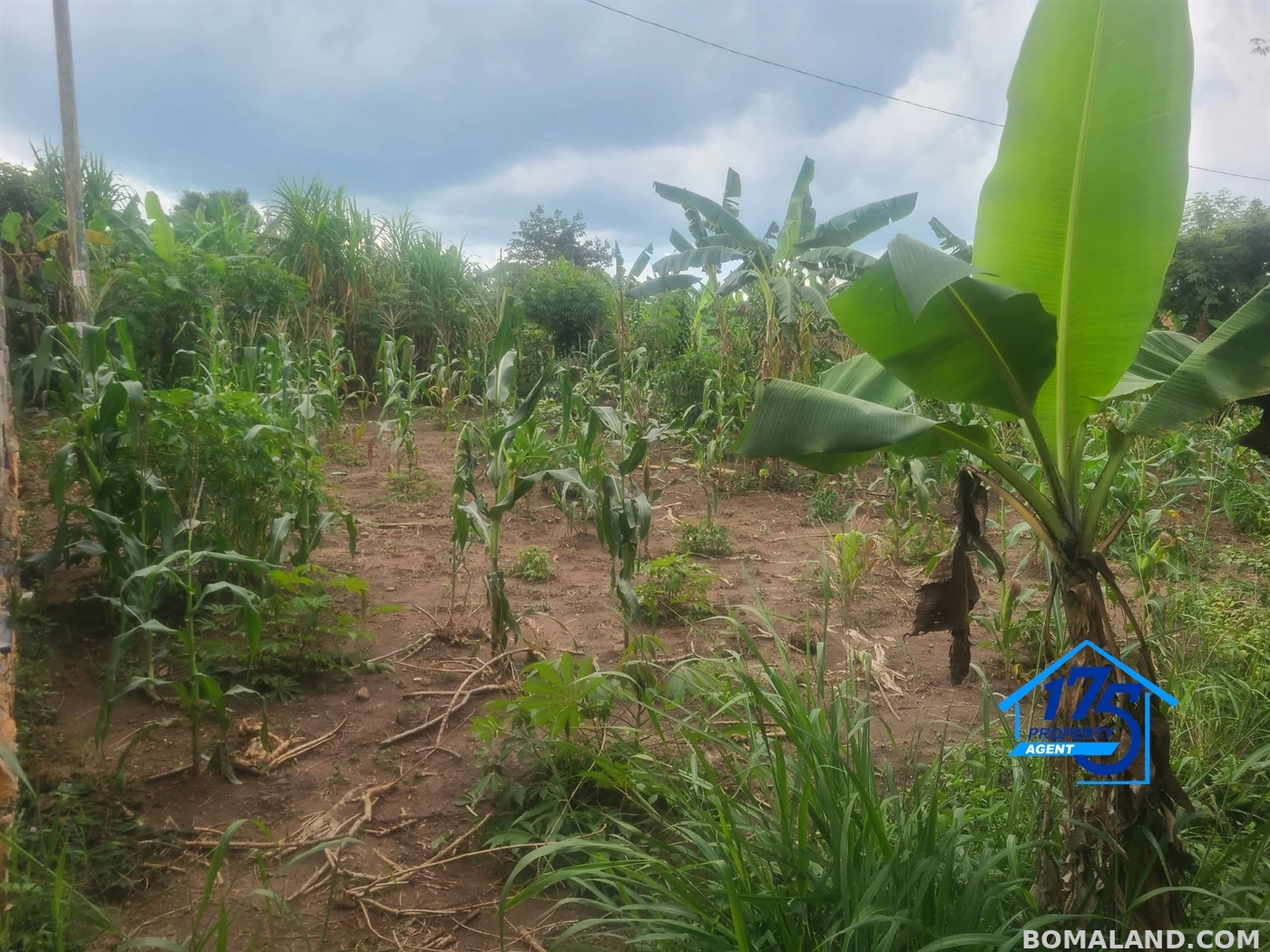 Residential Land for sale in Kiwenda Wakiso Uganda