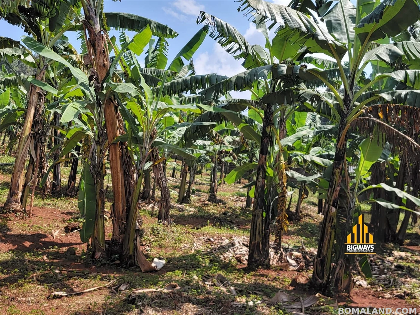 Residential Land for sale in Bwebajja Wakiso Uganda