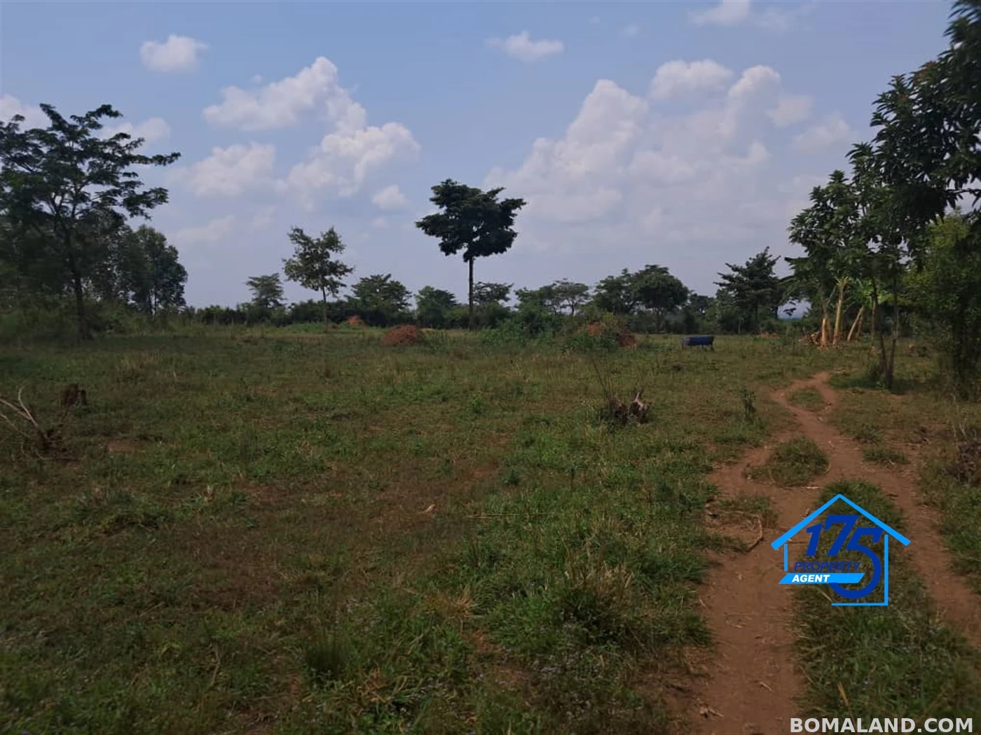 Residential Land for sale in Wabitunguru Luweero Uganda
