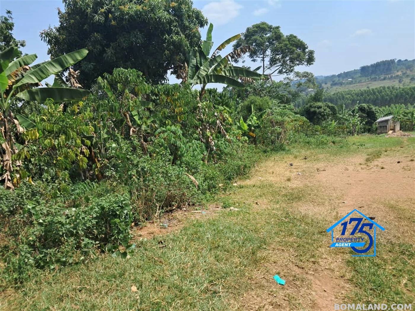 Residential Land for sale in Kikonge Mityana Uganda