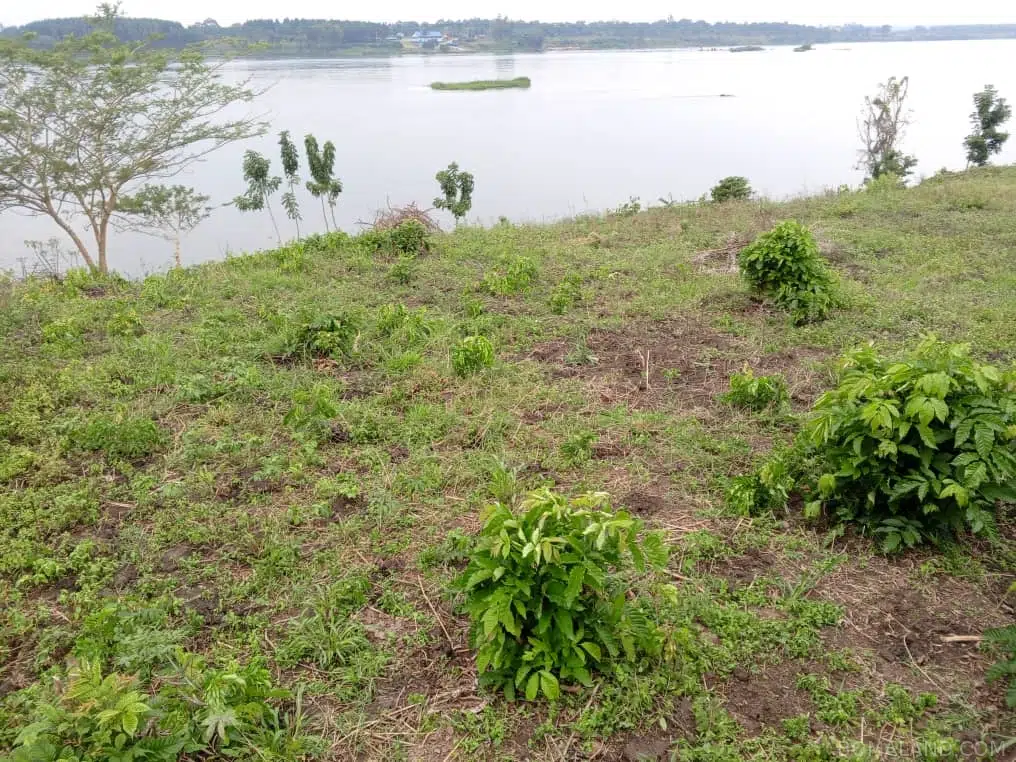 Recreational Land for sale in Namatogonya Kayunga Uganda