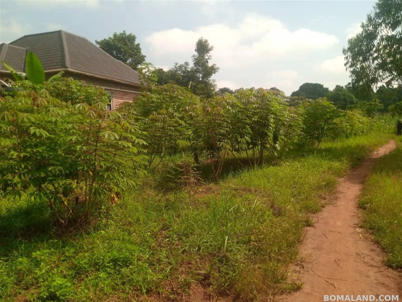 3 bedroom Shell House for sale in Nakanyonyi Mukono Uganda