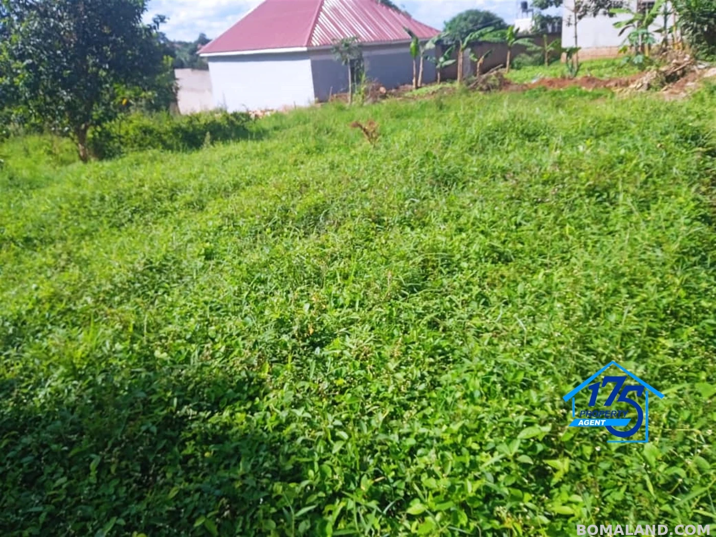 Residential Land for sale in Masooli Wakiso Uganda