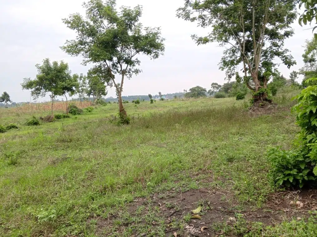 Recreational Land for sale in Namatogonya Kayunga Uganda
