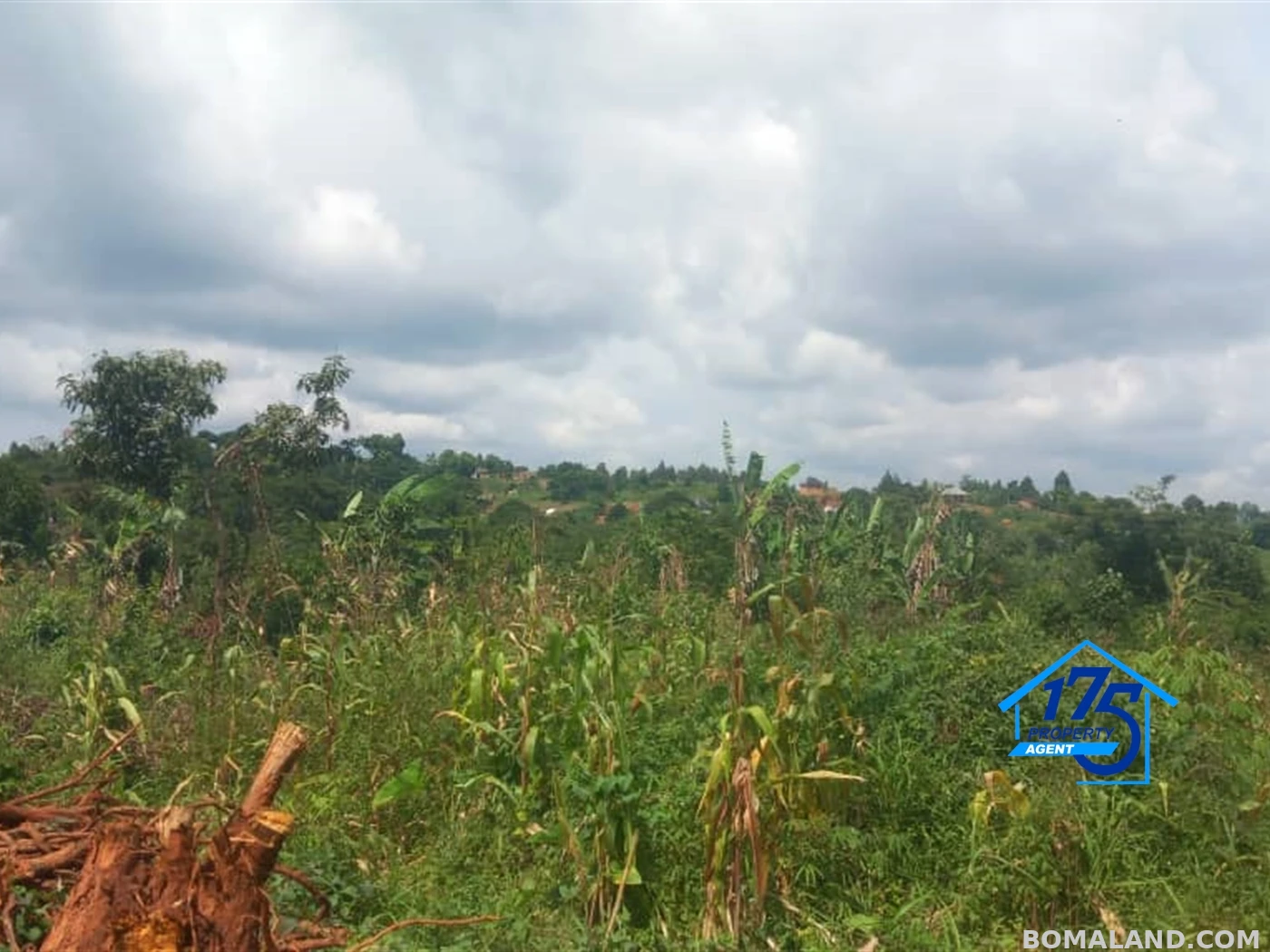 Residential Land for sale in Kisoga Mukono Uganda