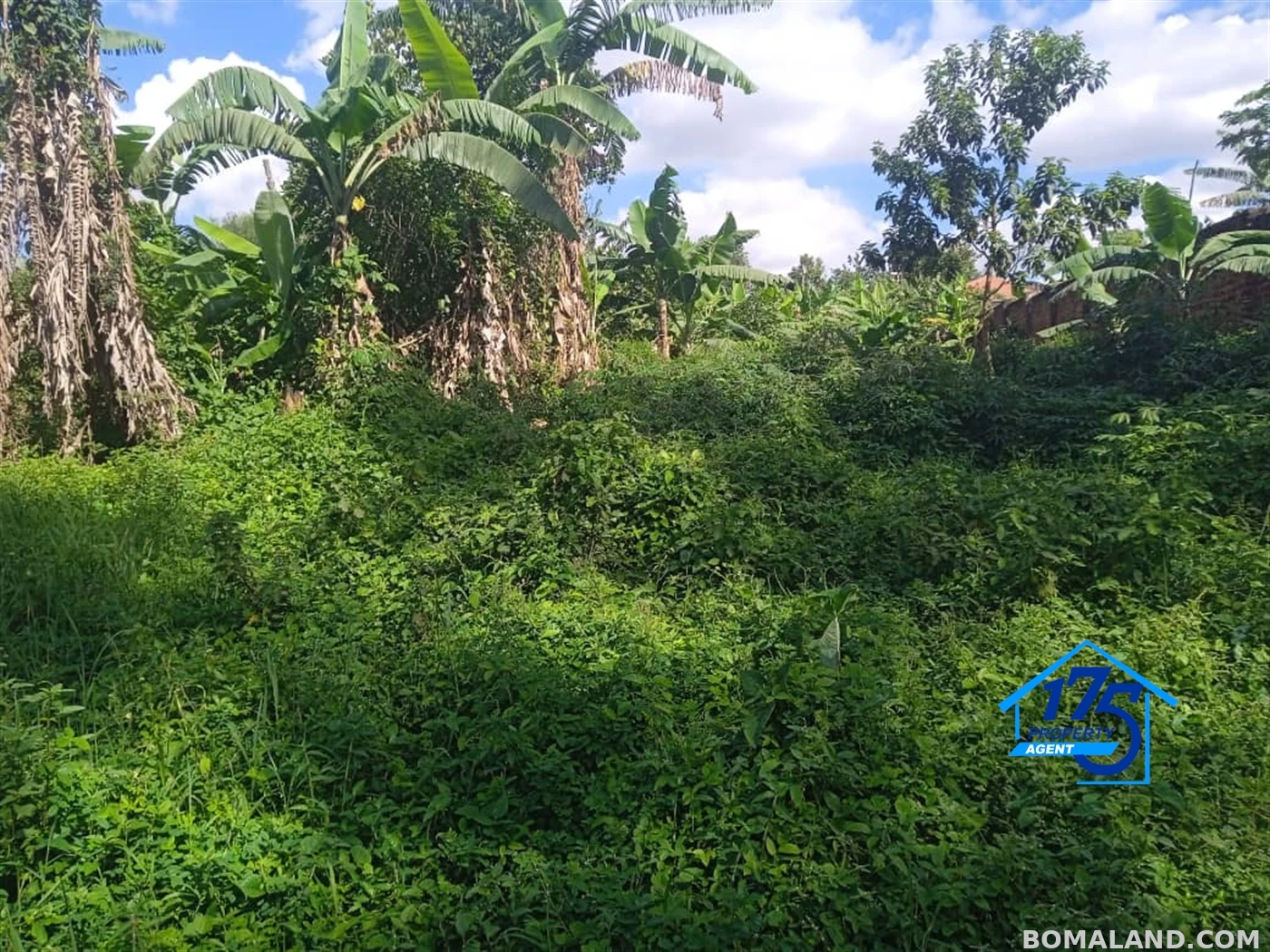Residential Land for sale in Masooli Wakiso Uganda