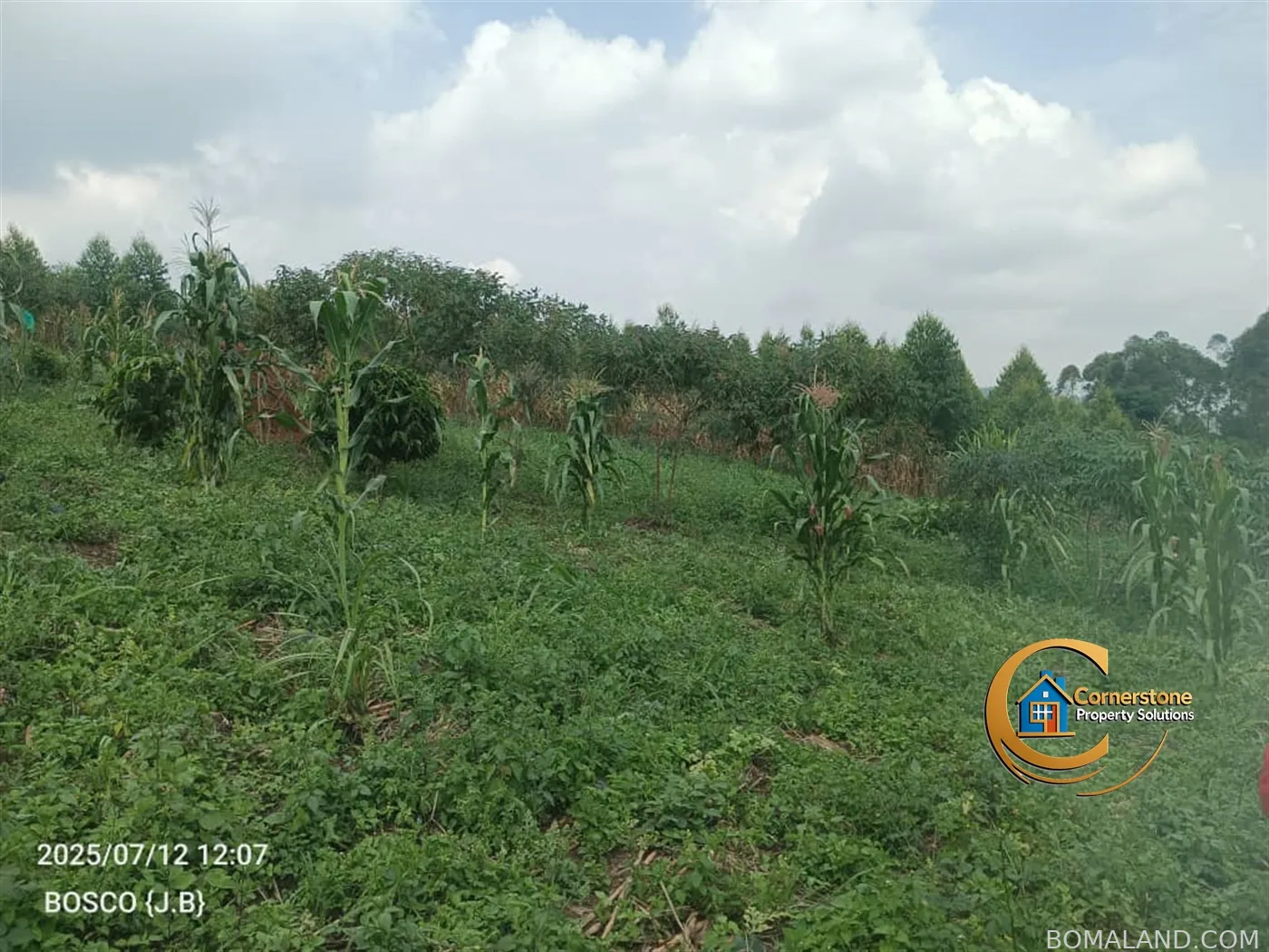 Agricultural Land for sale in Minanna Mityana Uganda
