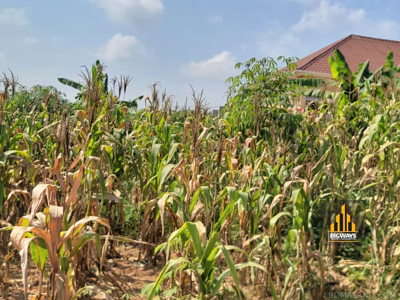 Residential Land for sale in Sonde Wakiso Uganda