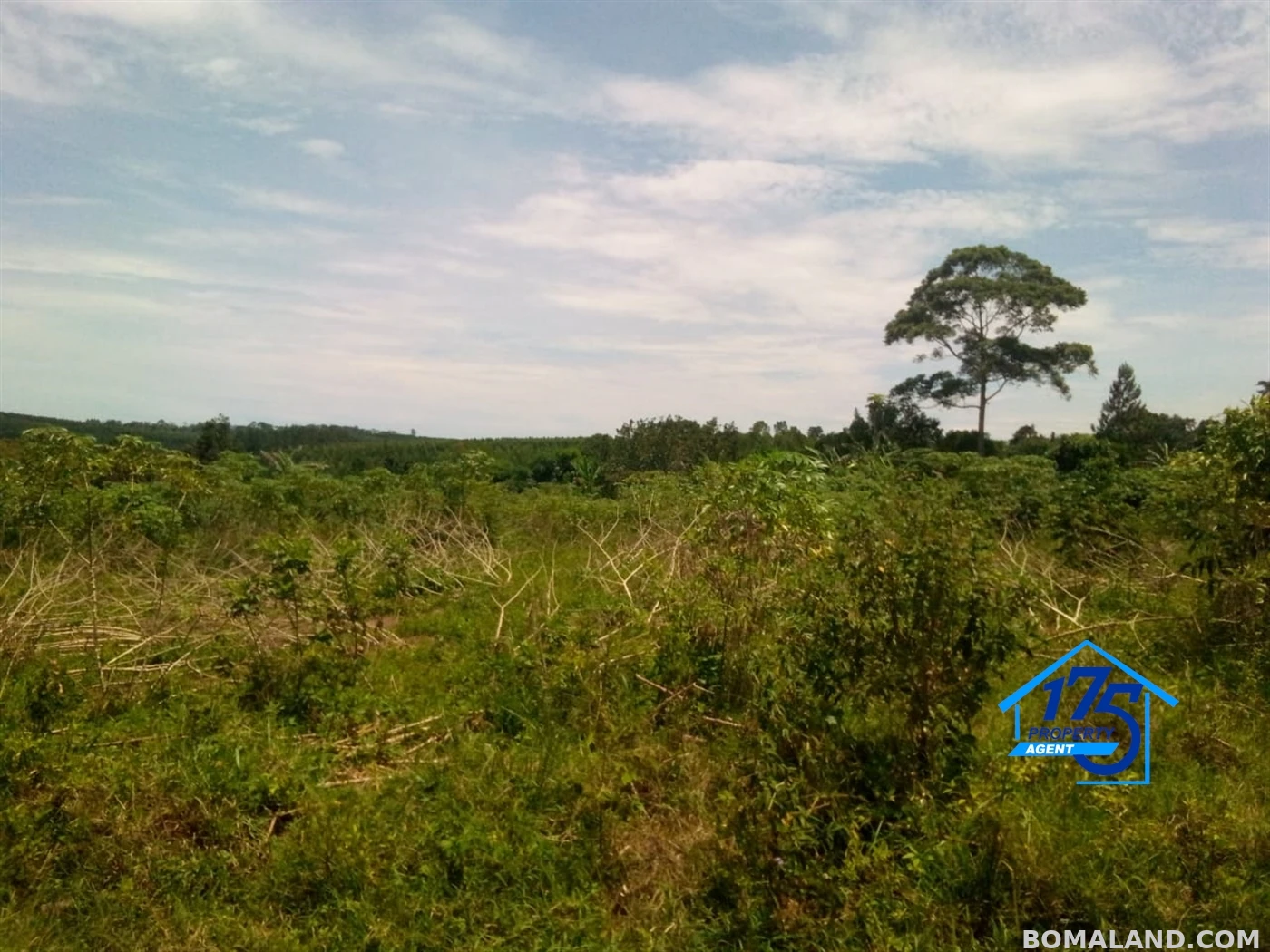 Residential Land for sale in Bukeelele Mukono Uganda