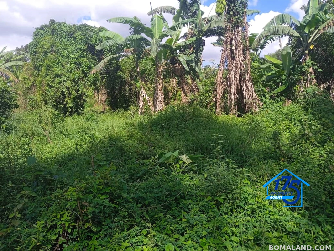 Residential Land for sale in Masooli Wakiso Uganda