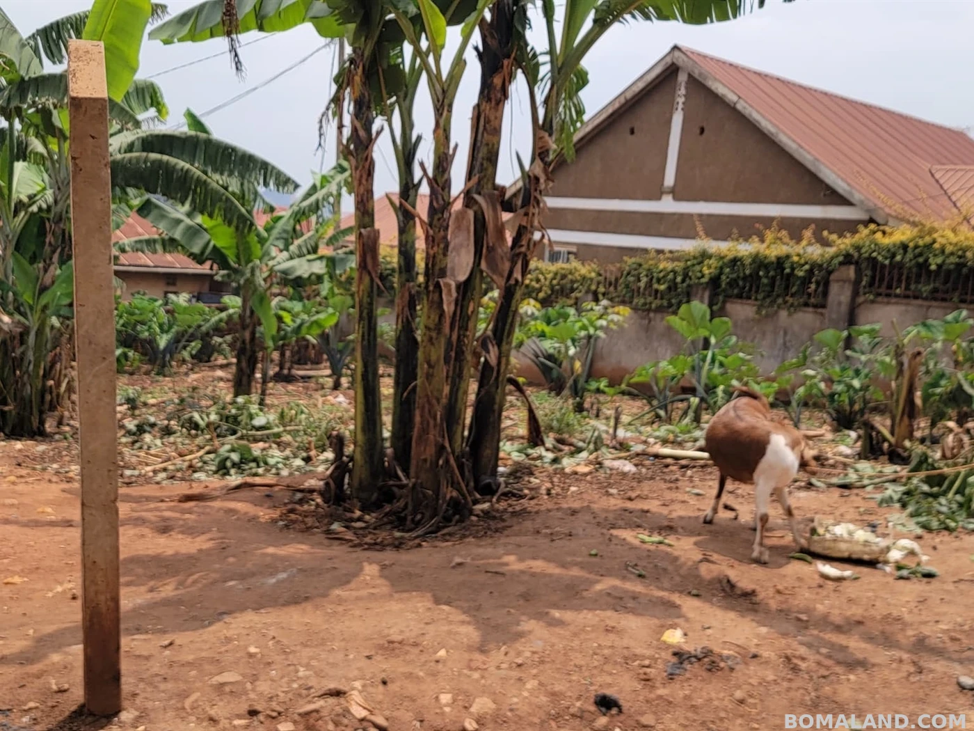 Residential Land for sale in Bukoto Wakiso Uganda