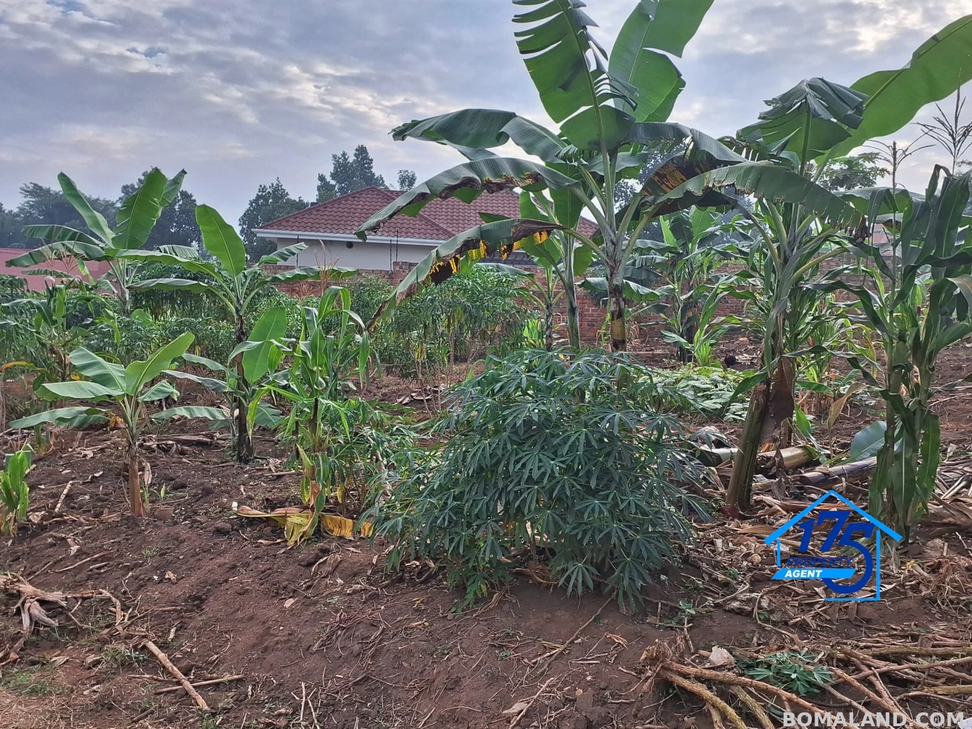 Residential Land for sale in Bulindo Wakiso Uganda