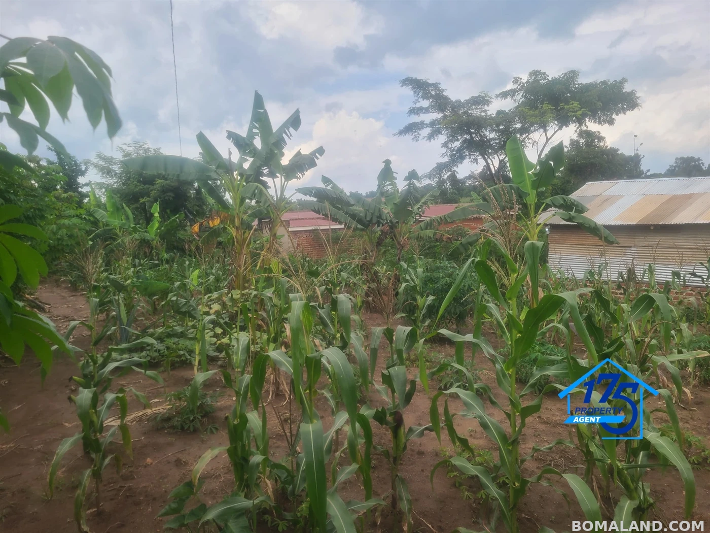 Residential Land for sale in Kiwenda Wakiso Uganda