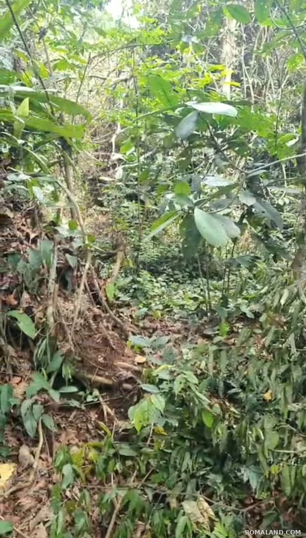 Agricultural Land for sale in Kyesiiga Kyotera Uganda