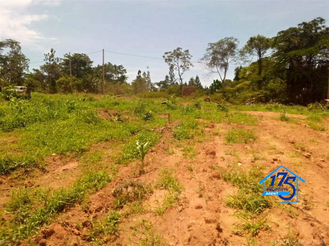 Residential Land for sale in Bukeelele Mukono Uganda
