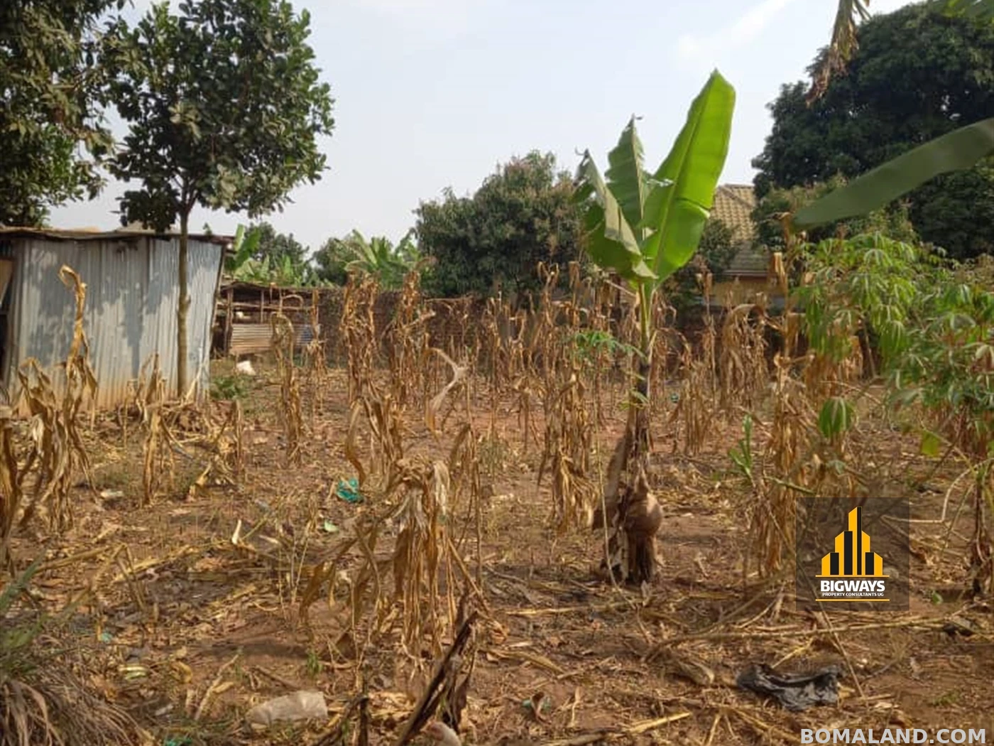 Residential Land for sale in Kasangati Wakiso Uganda