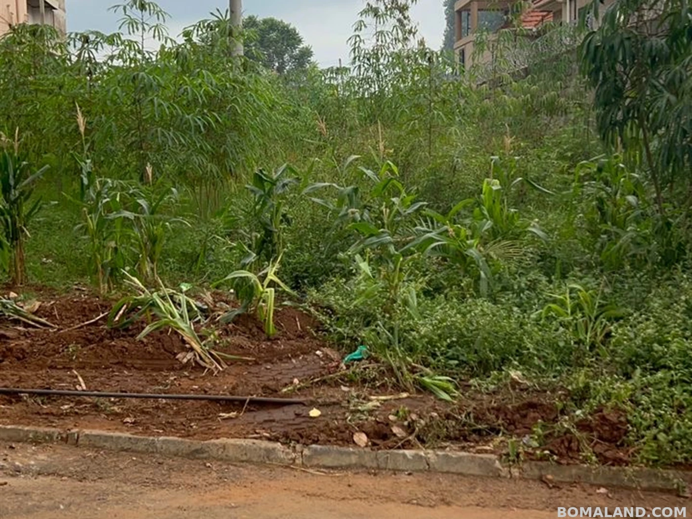 Residential Land for sale in Kyanja Wakiso Uganda