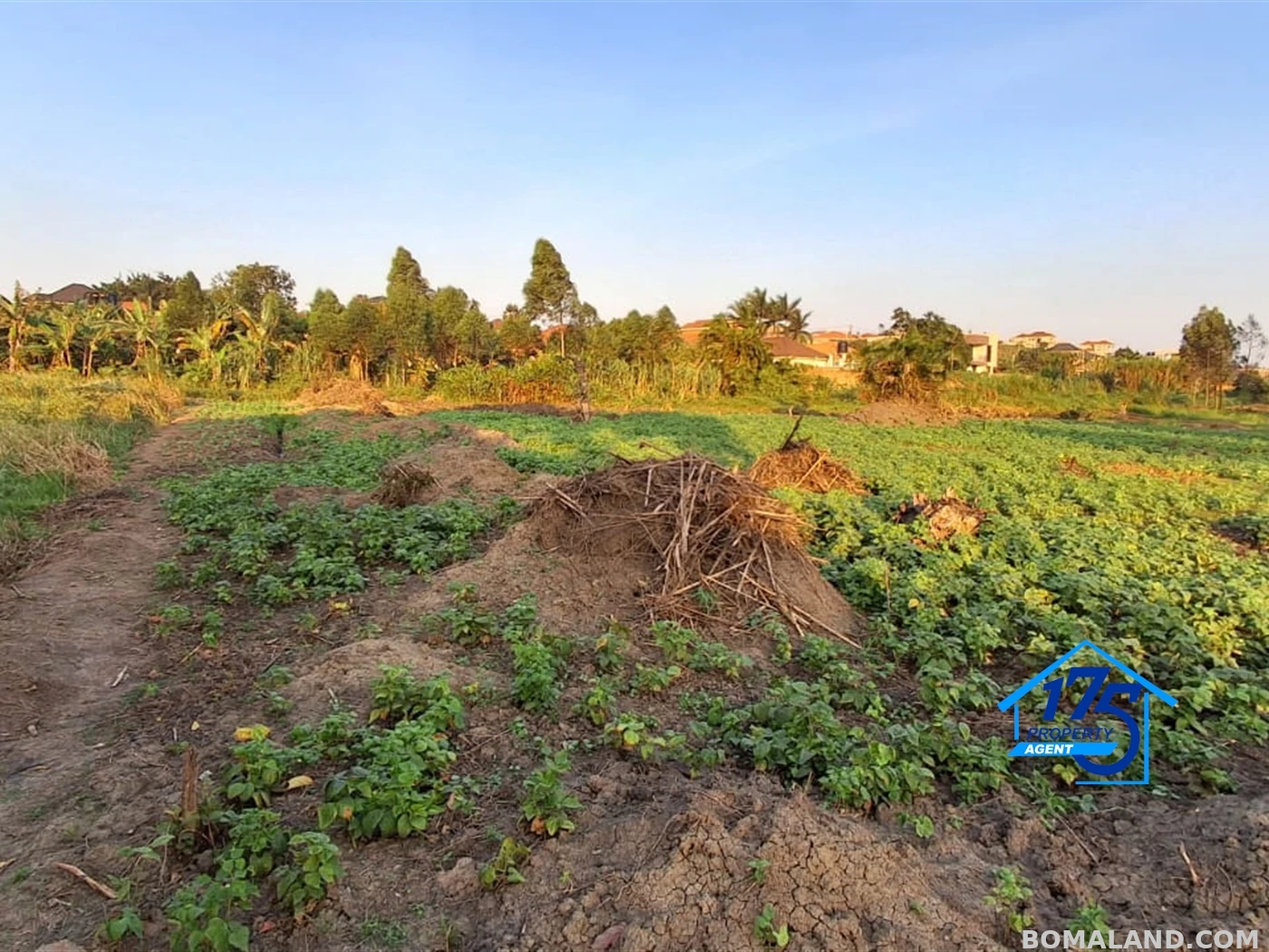 Residential Land for sale in Kira Wakiso Uganda
