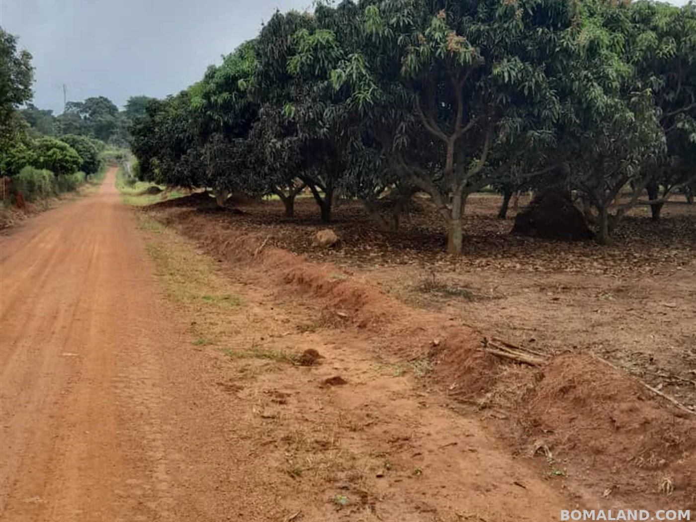 Residential Land for sale in Garugga Wakiso Uganda