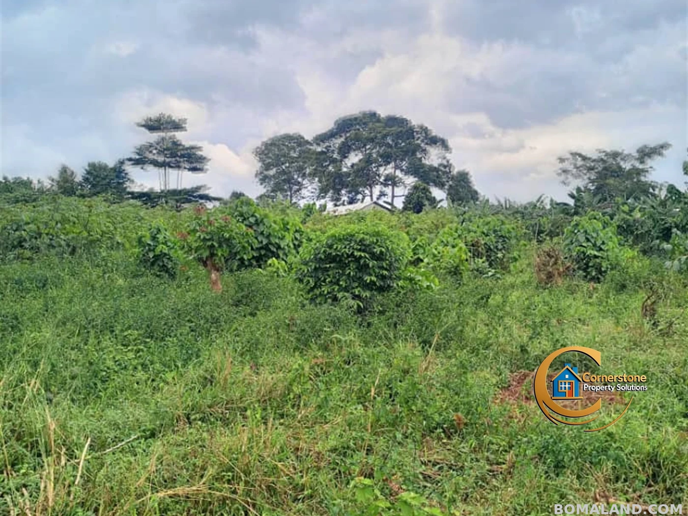 Agricultural Land for sale in Nakisunga Mukono Uganda