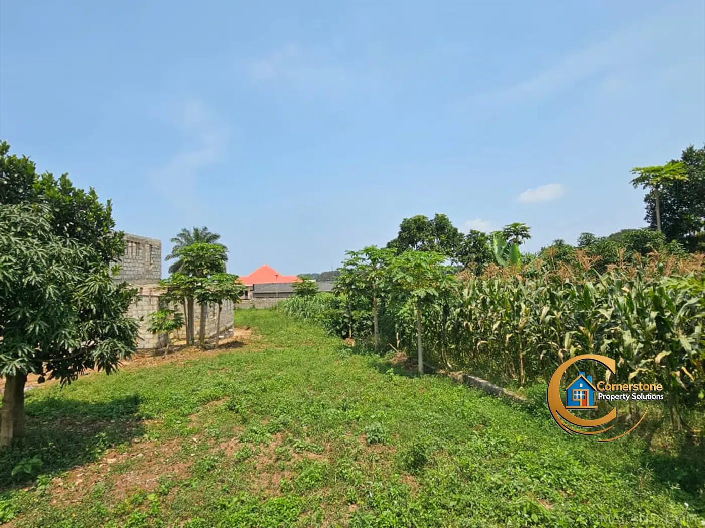 Residential Land for sale in Nkumba Wakiso Uganda