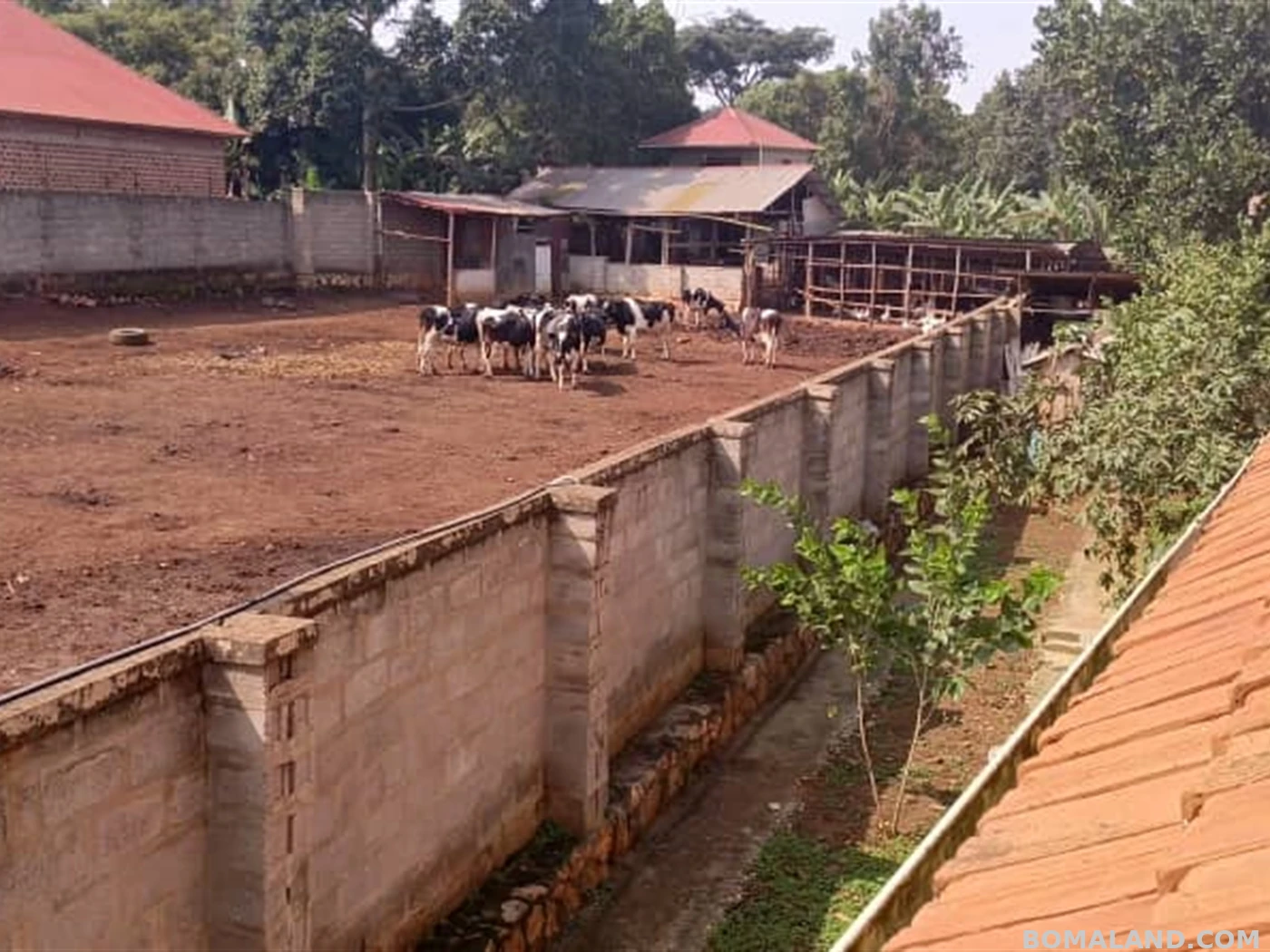 6 bedroom Bungalow for sale in Nakweelo Wakiso Uganda