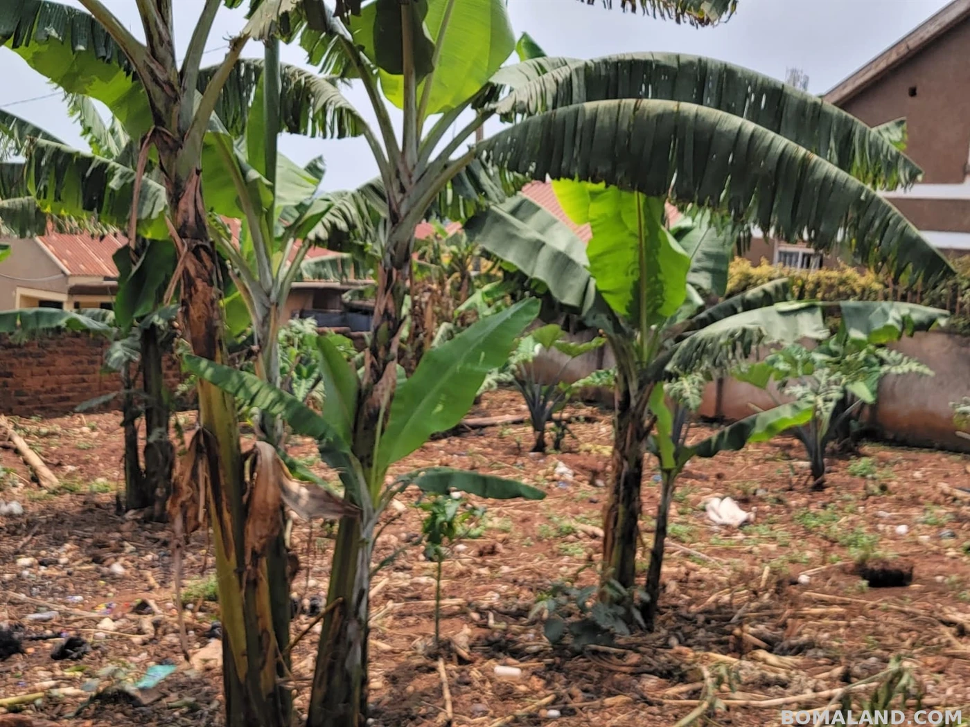 Residential Land for sale in Bukoto Wakiso Uganda