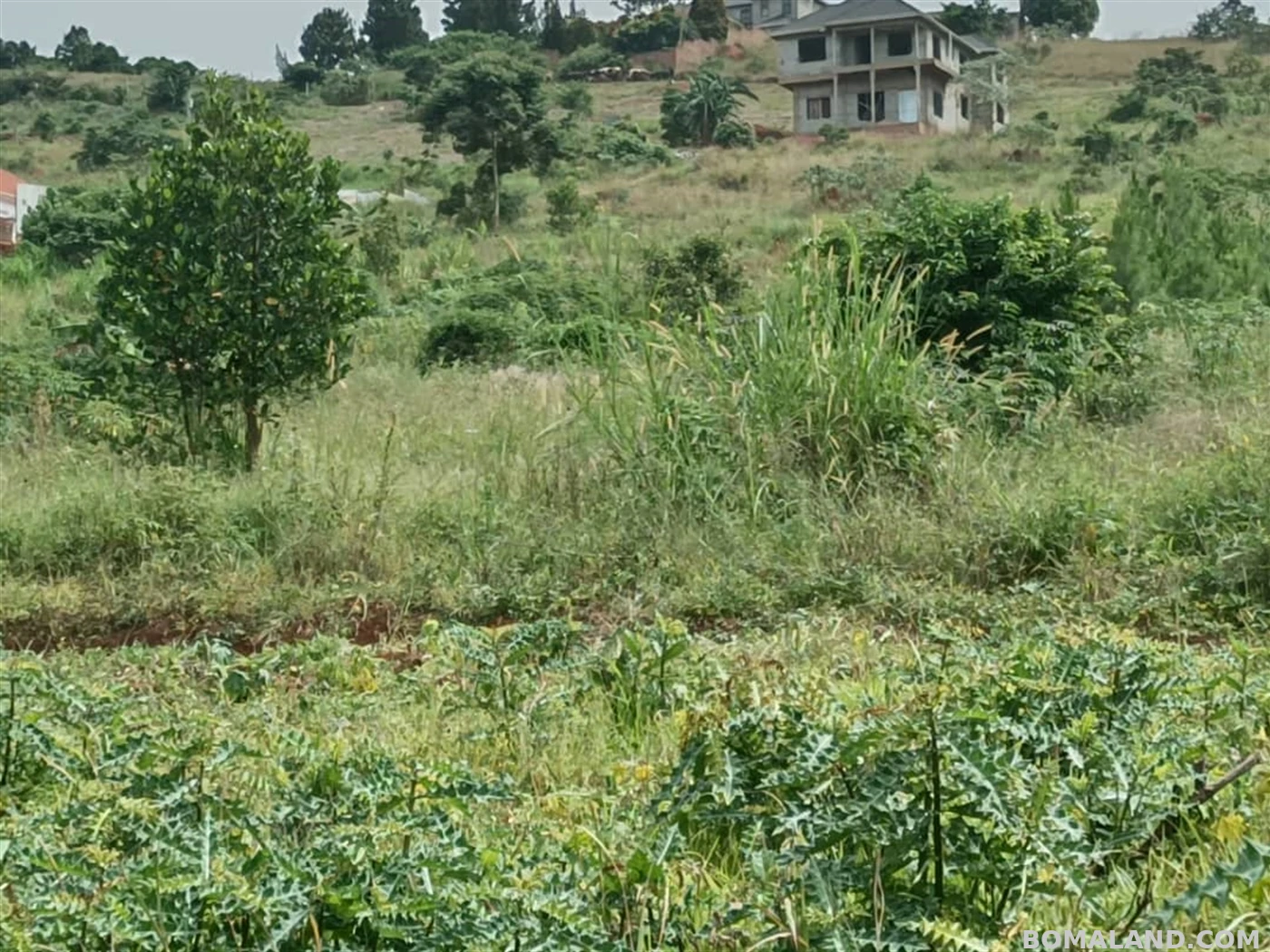 Residential Land for sale in Entebbe Wakiso Uganda