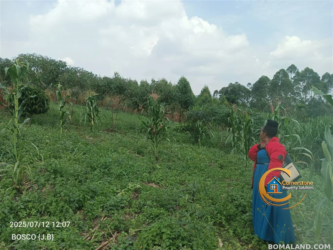 Agricultural Land for sale in Minana Mityana Uganda