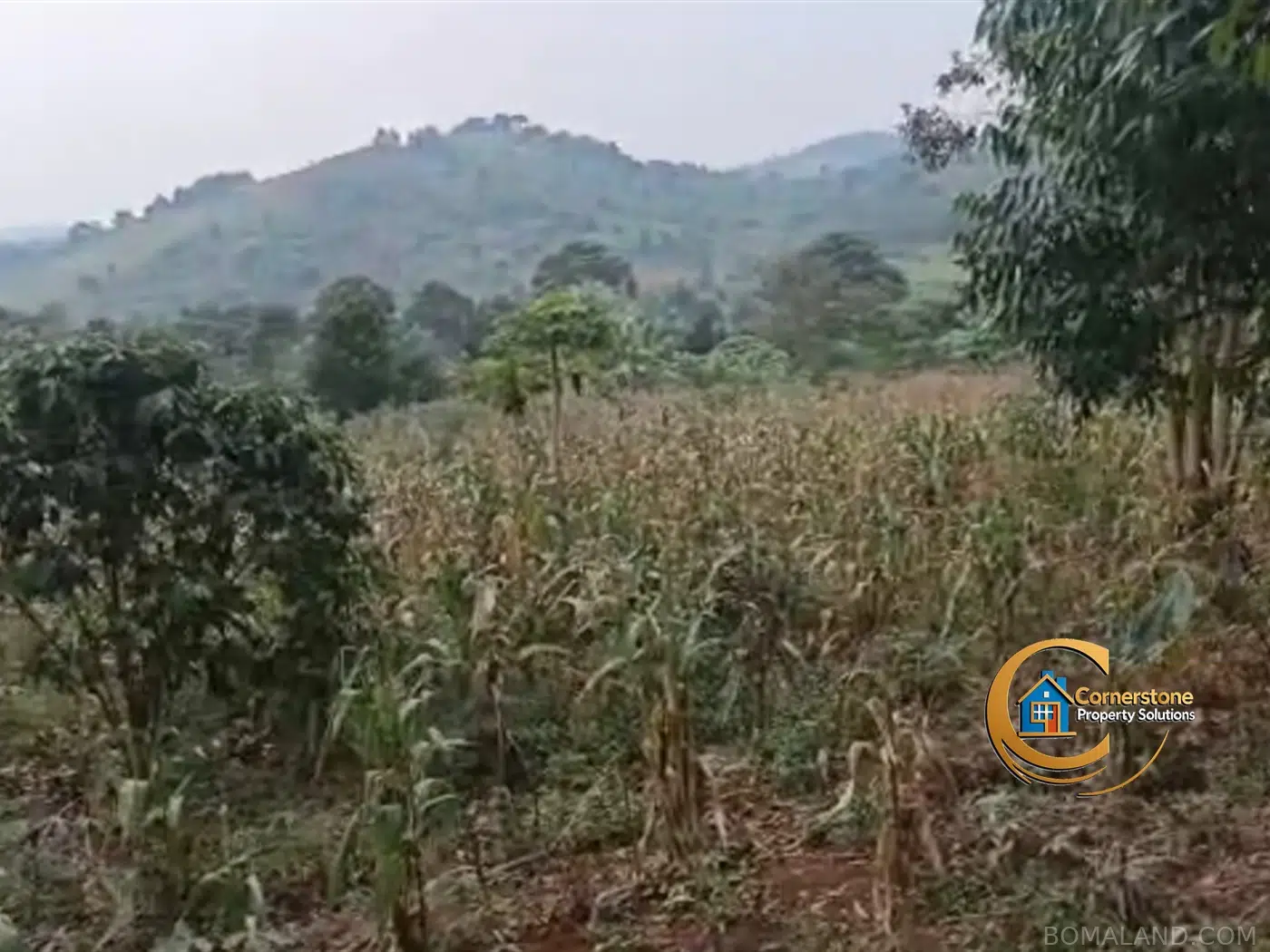 Agricultural Land for sale in Kiyanja Mukono Uganda