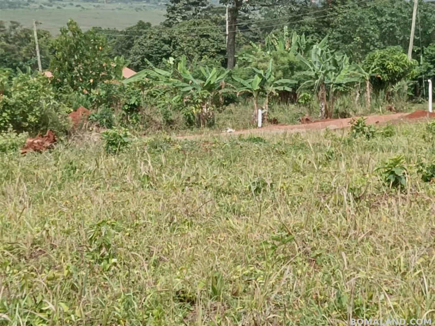 Residential Land for sale in Entebbe Wakiso Uganda