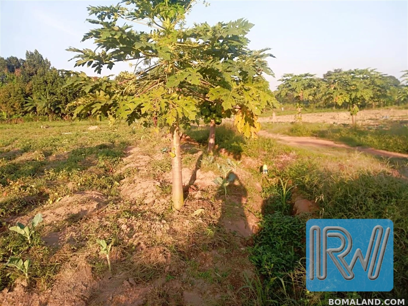 Residential Land for sale in Garuga Wakiso Uganda