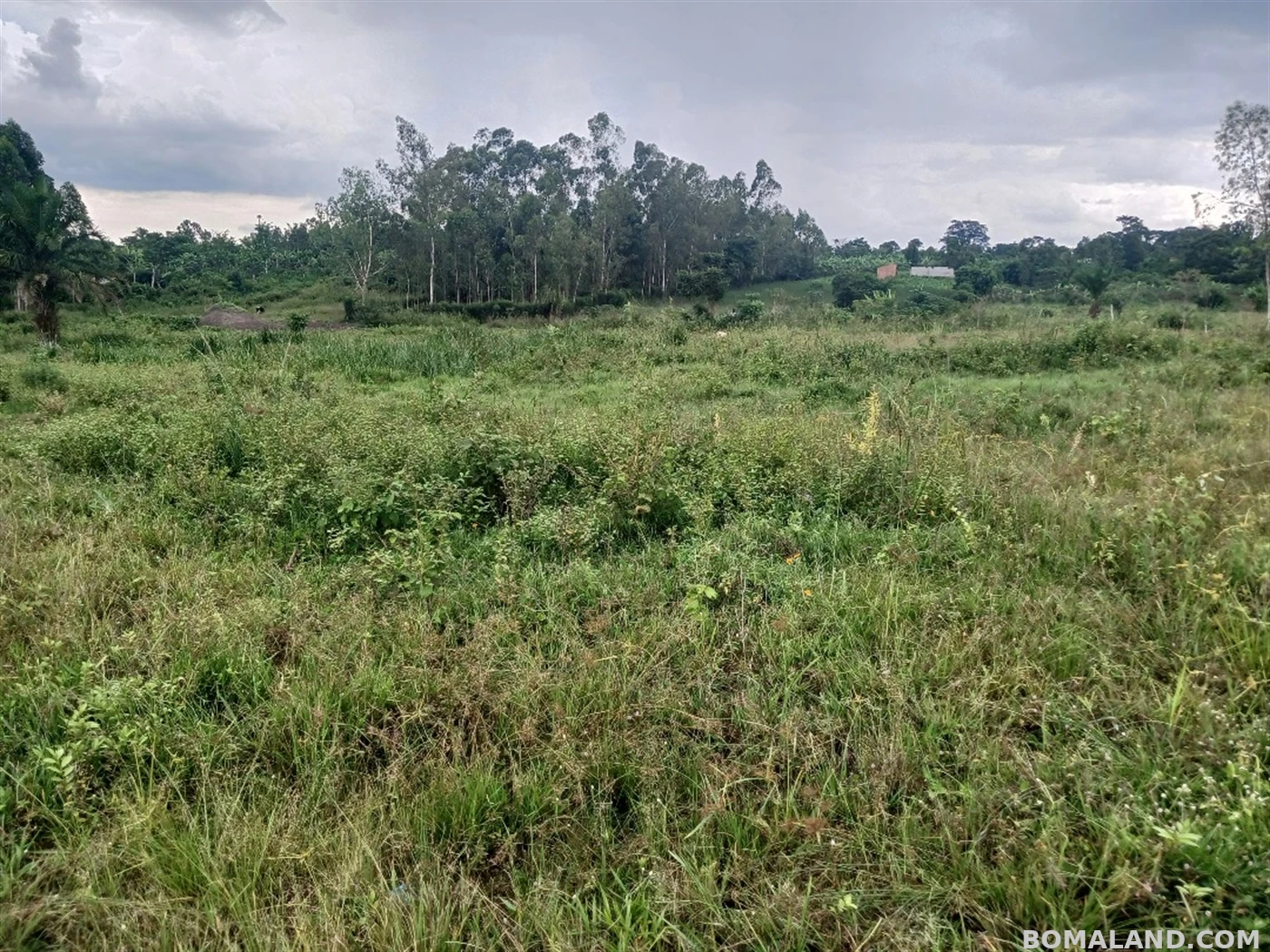 Recreational Land for sale in Ziloobwe Luweero Uganda