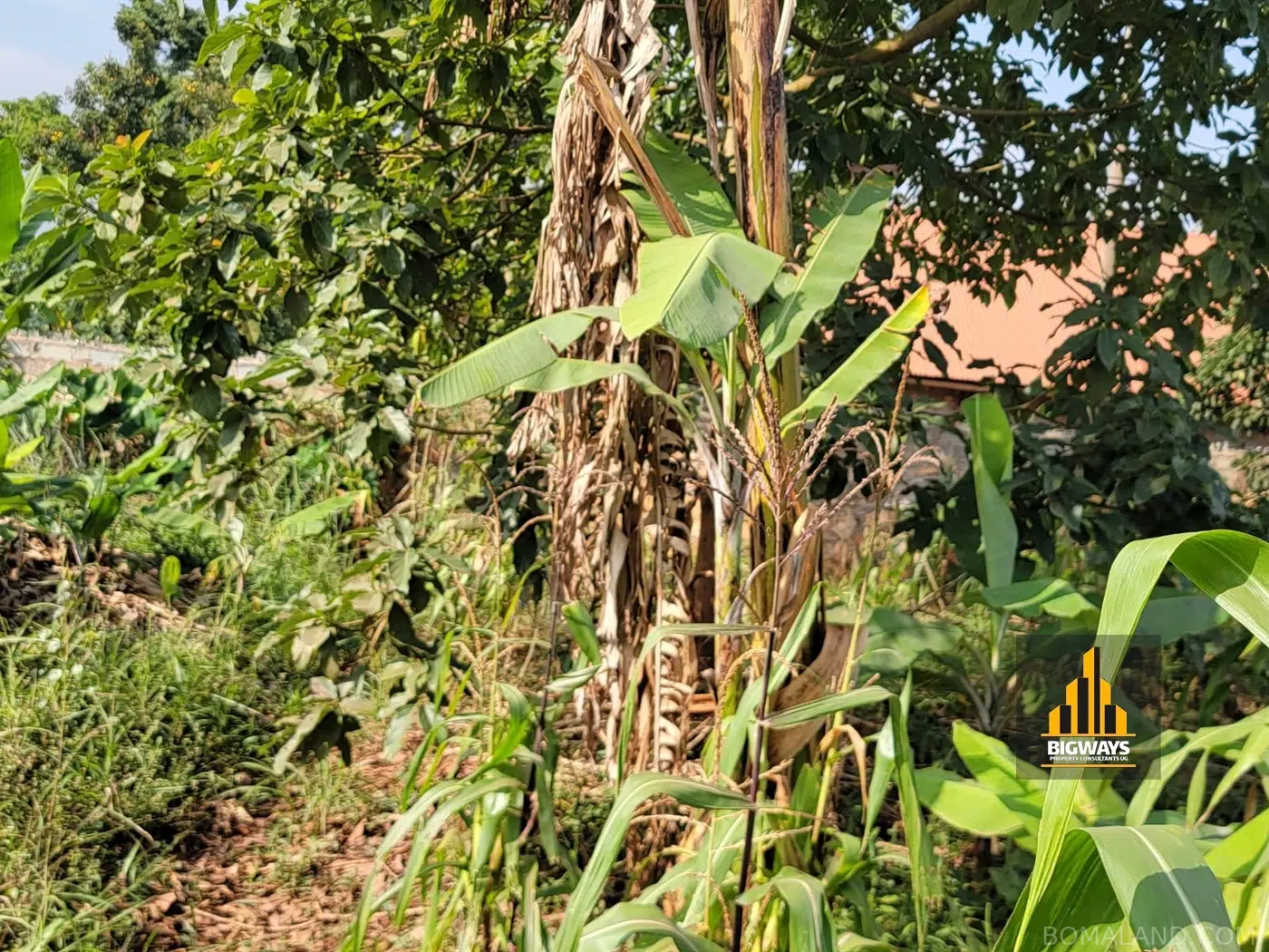Residential Land for sale in Kyanja Kampala Uganda