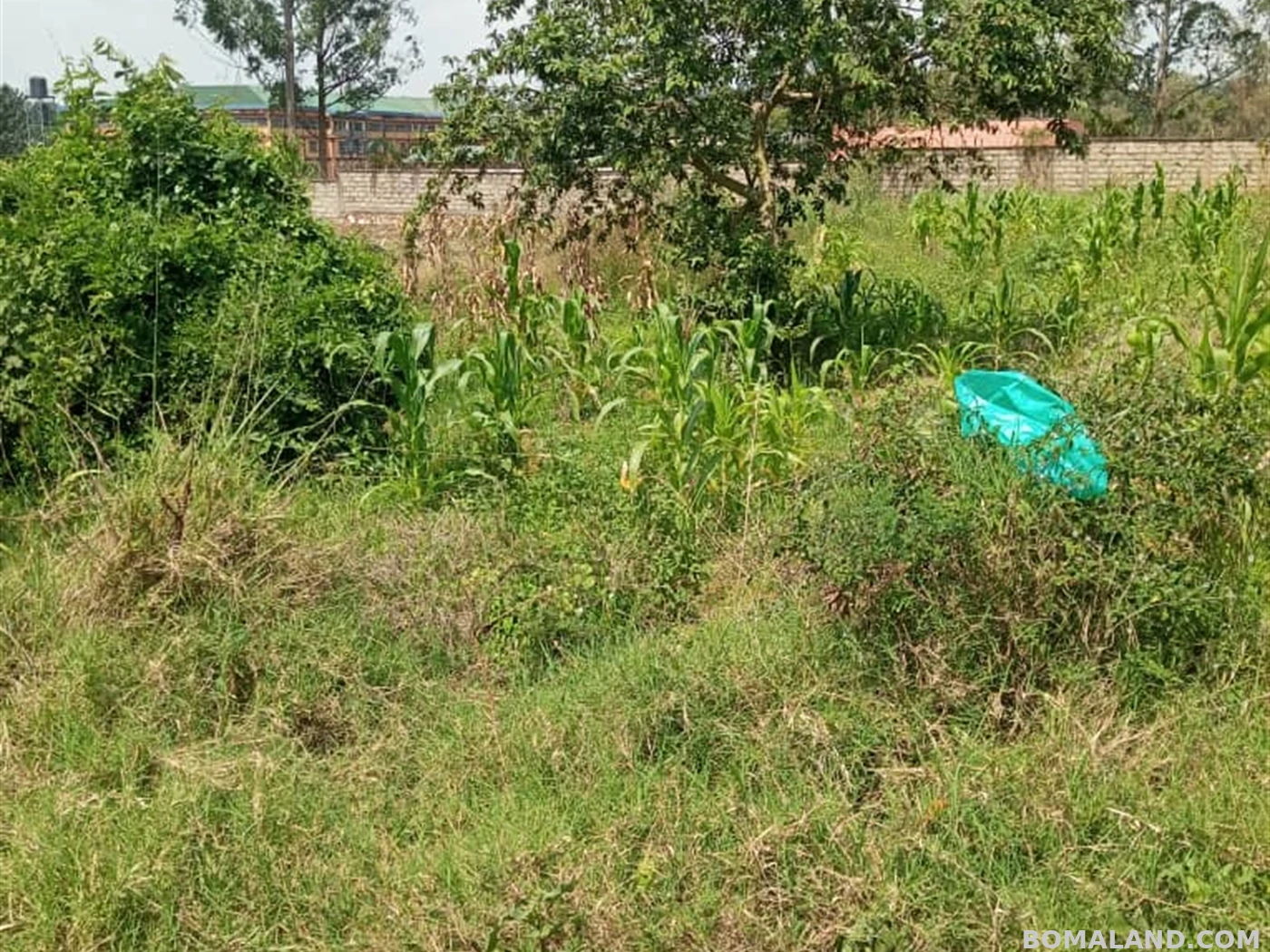 Joint investment land for sale in Kira Wakiso Uganda