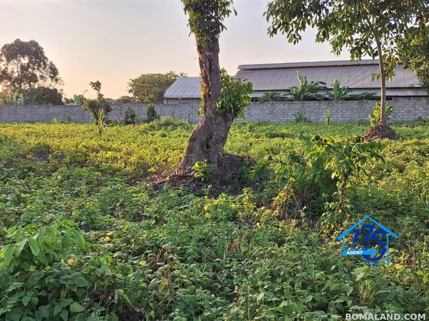 Residential Land for sale in Kira Wakiso Uganda