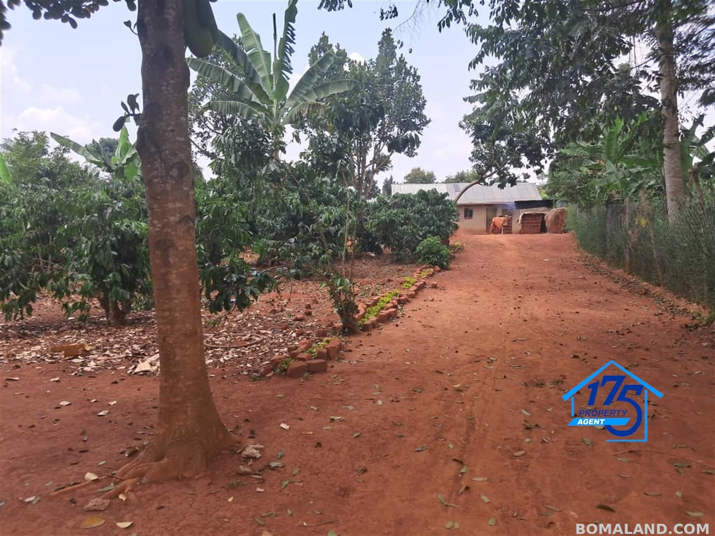 Residential Land for sale in Wabitunguru Luweero Uganda
