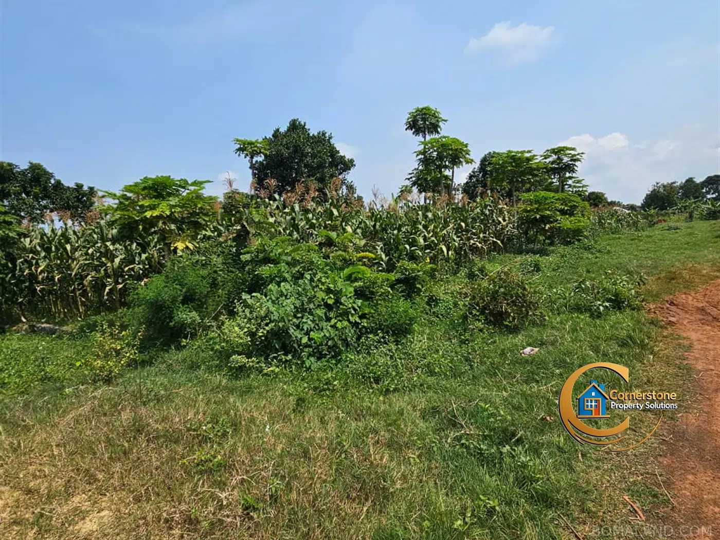 Residential Land for sale in Nkumba Wakiso Uganda