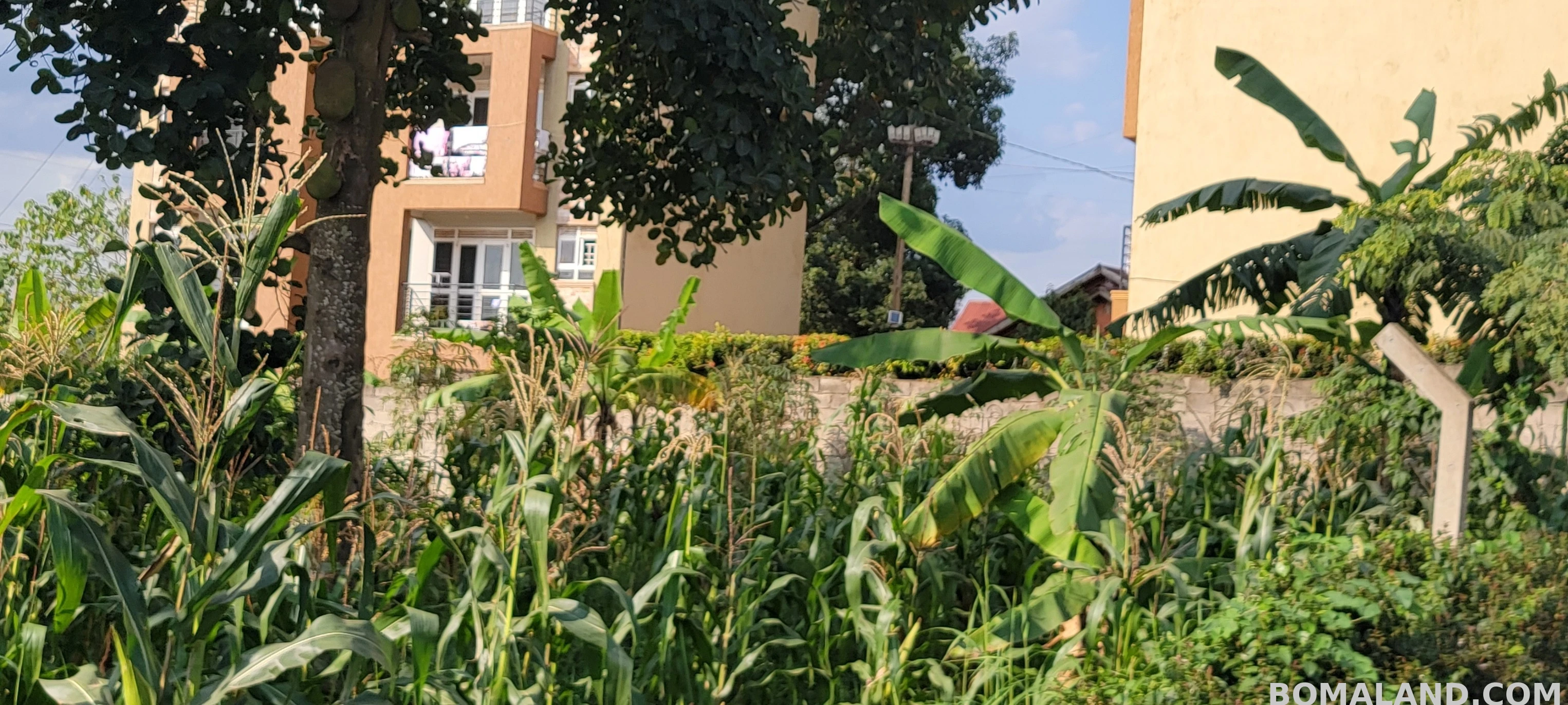 Residential Land for sale in Kyanja Kampala Uganda