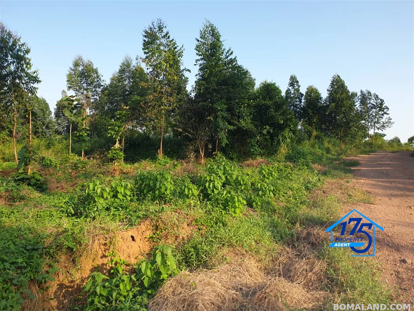 Residential Land for sale in Migade Wakiso Uganda