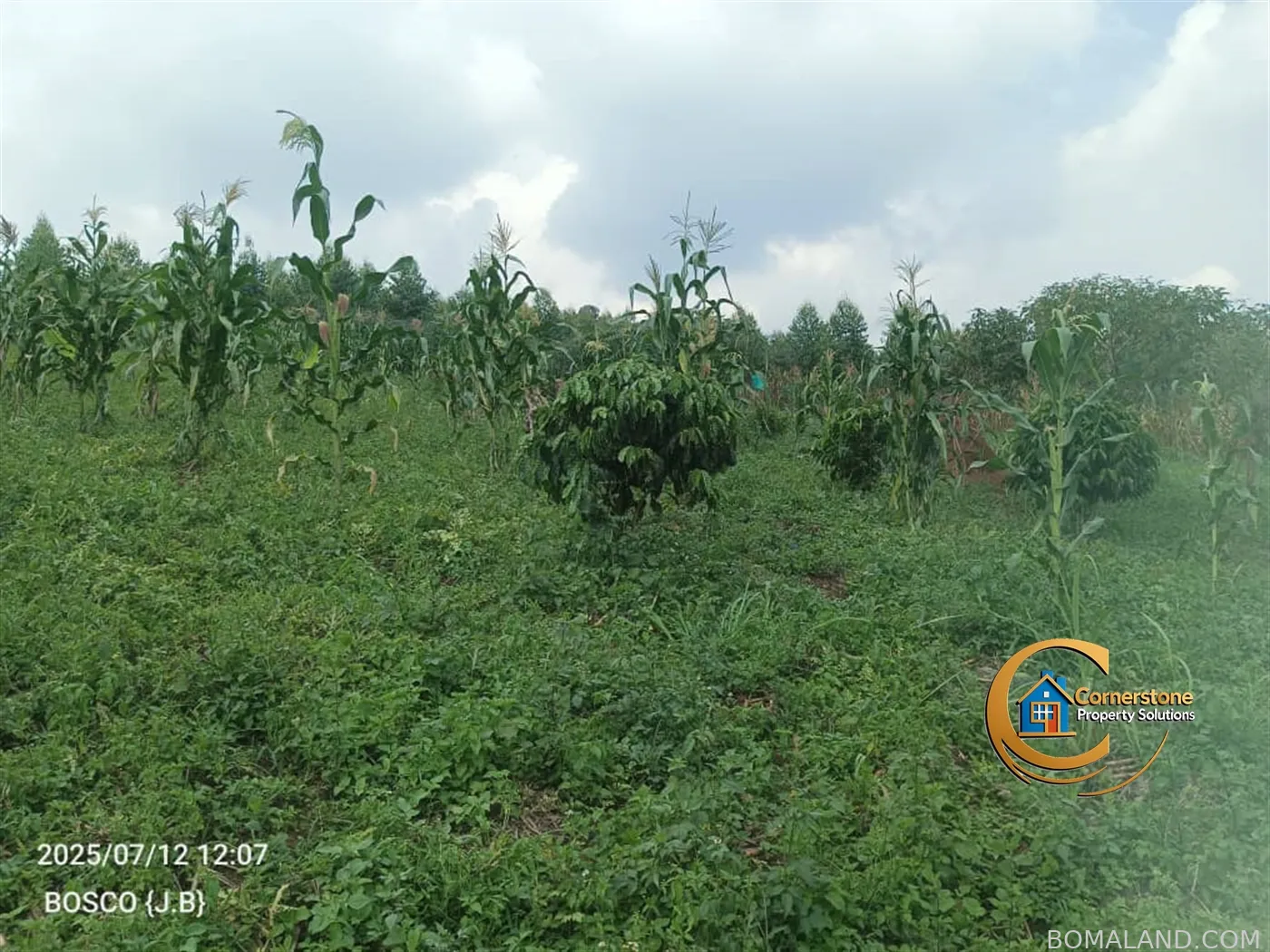 Agricultural Land for sale in Minanna Mityana Uganda