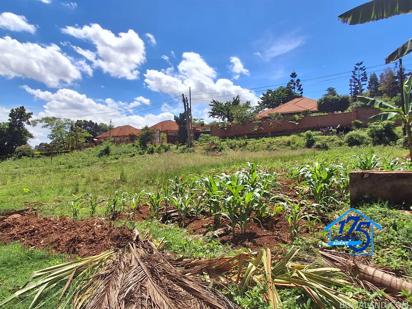 Commercial Land for sale in Kira Wakiso Uganda