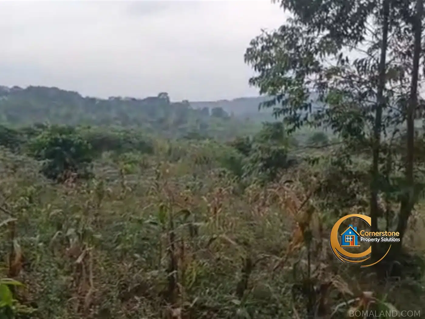 Agricultural Land for sale in Kiyanja Mukono Uganda