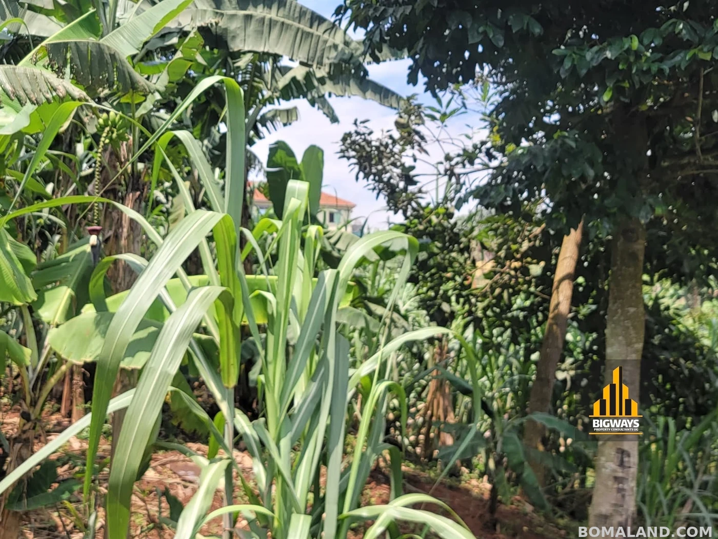 Residential Land for sale in Kiwaatule Kampala Uganda