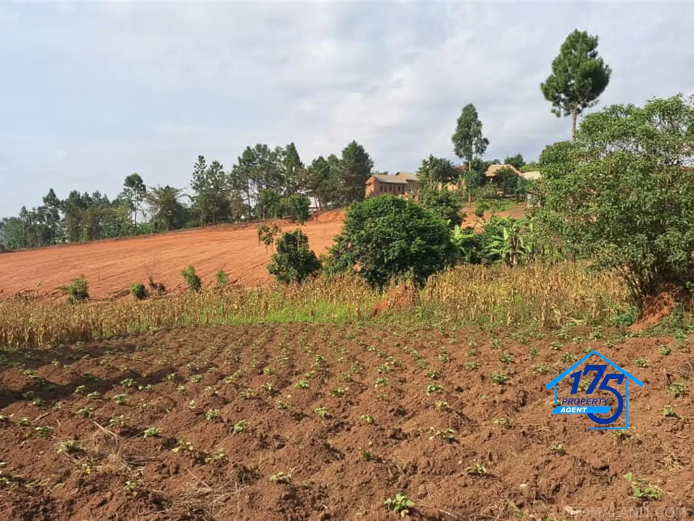 Residential Land for sale in Gayaza Wakiso Uganda