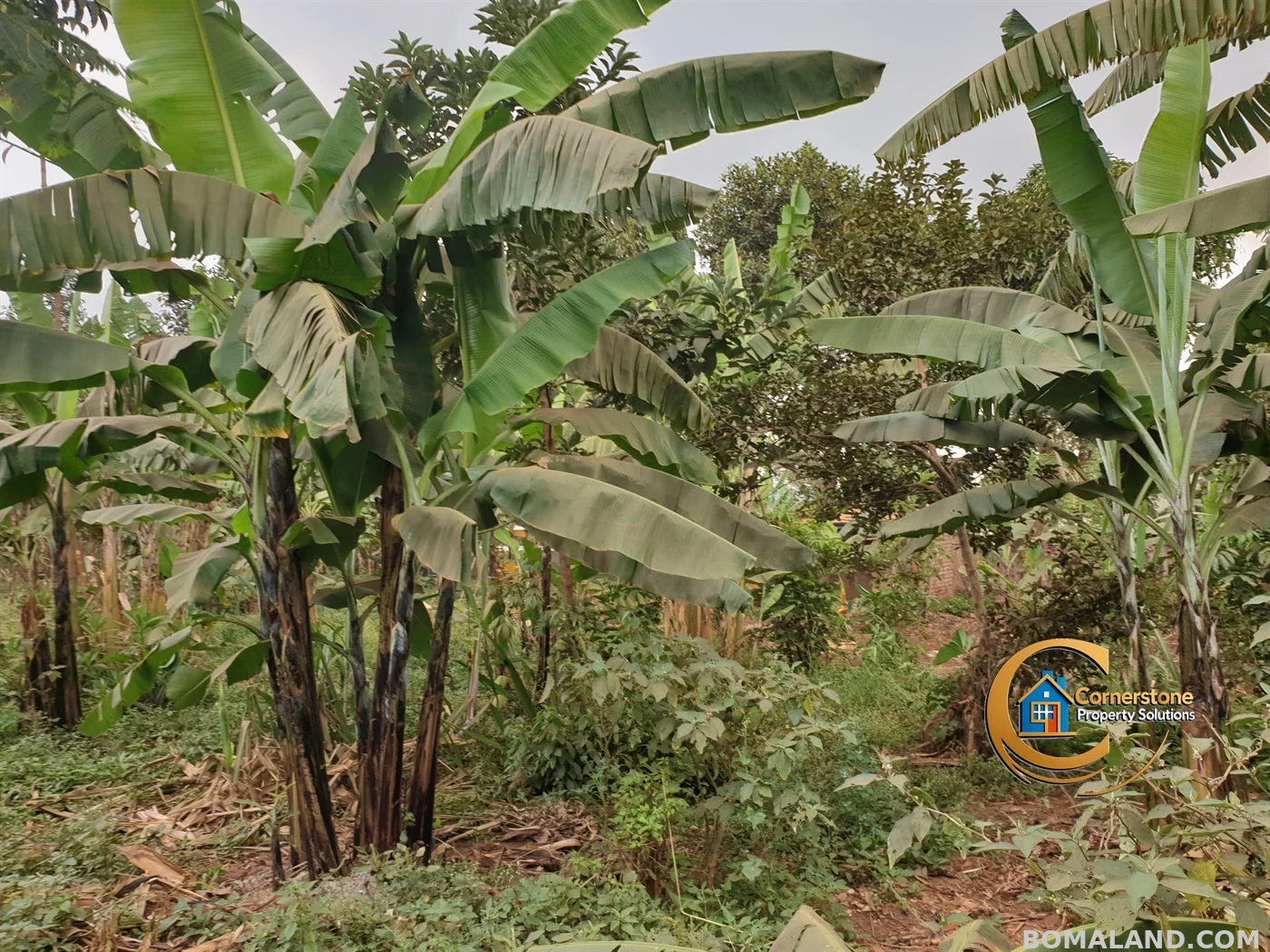 Residential Land for sale in Mpererwe Wakiso Uganda